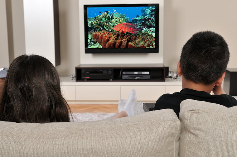 Two Children Sitting on Couch Watching Red Fish on TV Screen